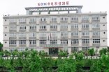 【中國電子科技集團重慶聲光電有限公司】彈簧伊人影视大全